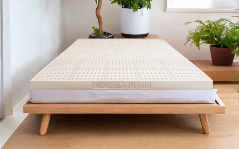 Đa dạng độ dày và kích thước phù hợp với mọi nhu cầu 
